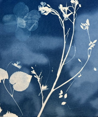 Connect The Dots Art Studio - Botanical Cyanotype