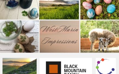 West Marin Impressions at Black Mountain Ranch
