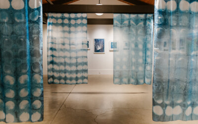 Silk Shibori Tapestry